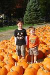 boys in pumpkins.jpg