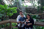 family in rainforest