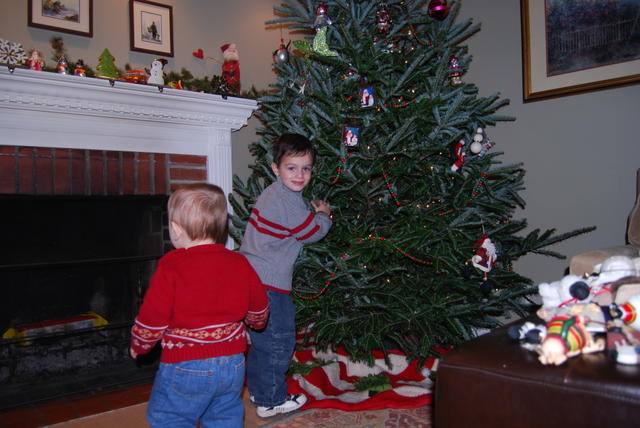 boys decorating tree