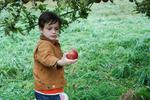 apple picker.jpg