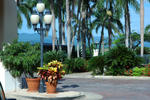 lobby view of El Yunque rain forest mts