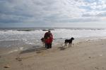 boys and dogs at beach.jpg